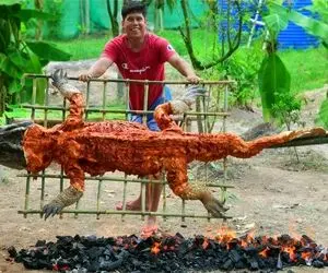 کباب کردن کروکودیل؛ تمساح رو تو تنور کباب می کنن و مثل رون بره میکشن به دندون