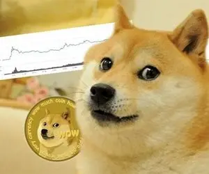 طوفانی سهمگین در انتظار شیبااینو؟؟