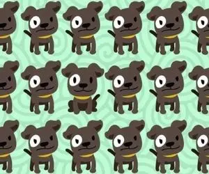 بازی فکری؛ اگه بتونی بین سگ های یک چشم اونی که متفاوت رو پیدا کنی جانت در آرامش