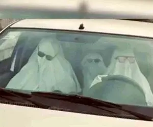 پایان جولان ارواح سرگردان در تبریز!