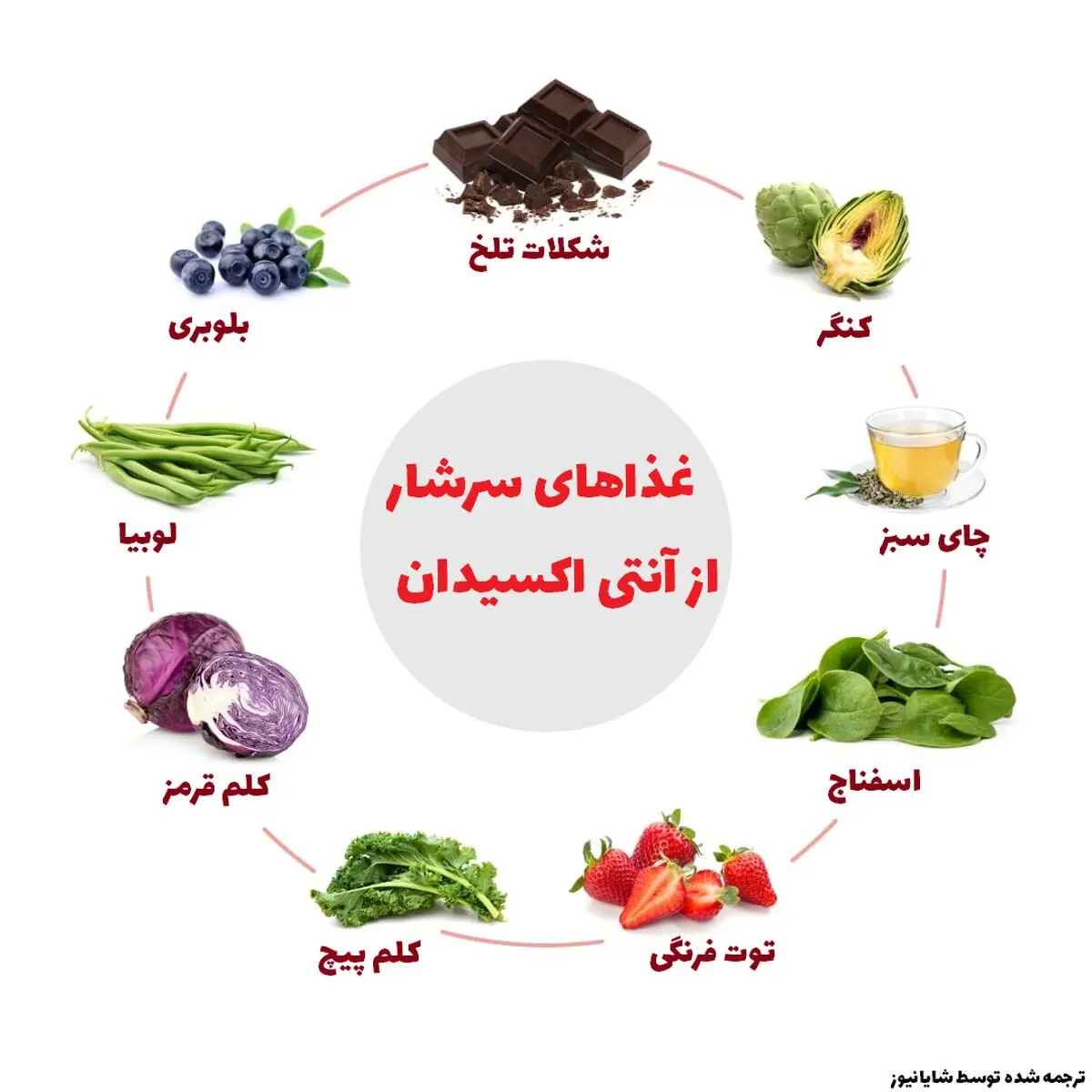 Food-rich-in-Antioxidants