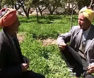 آواز محلی؛ پیرمرد قوچانی با لباس مخصوصش آهنگی خوند که برادر دوقلوش به قهقرا رفت