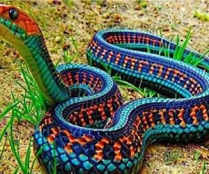 کارخانه حیوانات / ترکیب ژن طاووس و کبرا برای تولد مار هولوگرامی افسانه‌ای