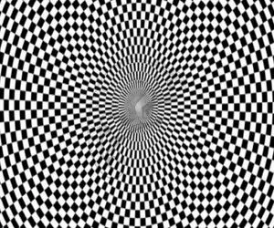 بازی فکری؛ دید فول اچ دی هم داشته باشی نمیشه حیوون مخفی رو پیدا کنی فقط 1 درصد تونستن