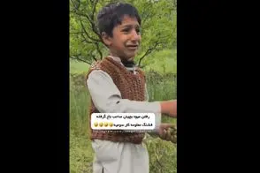 سکانس خندان/بچه ها رفتن قایمکی میوه بچینند صاحب باغ گرفتشون/حالا دارن همیدگرو لو میدن
