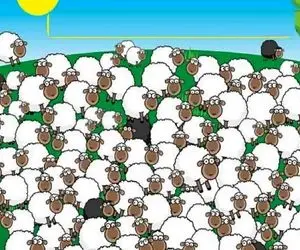 بازی فکری؛ پیدا کردن ببعی خوابالو با کراماً کاتبین