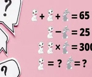 بازی فکری؛ ارزش عددی گربه و پیشی ملوس رو فقط ذهن های خلاق و سالم میتونن حساب کنن