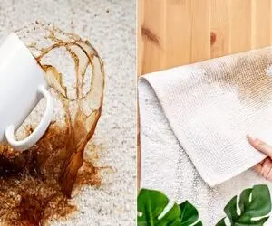 ترفندهای هلو برای پاک کردن لکه ی چای از روی فرش / برا لکه های خشک شده هم معجزه میکنن