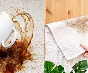 ترفندهای هلو برای پاک کردن لکه ی چای از روی فرش / برا لکه های خشک شده هم معجزه میکنن
