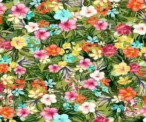 بازی فکری؛ 99 درصد آدما حتی خلبان ها هم نتونستن کلم بروکلی رو بین گل ها پیدا کنن