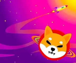 خوش شانسی بزرگی نصیب شیبااینو شد!