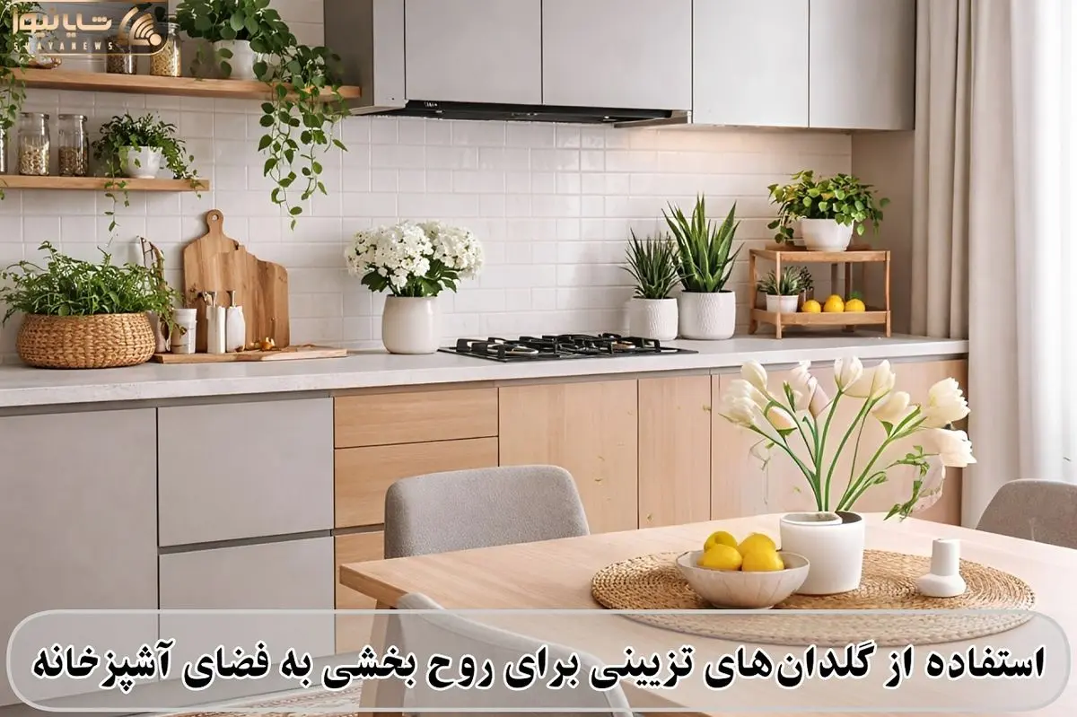 گلدان اشپزخانه 2