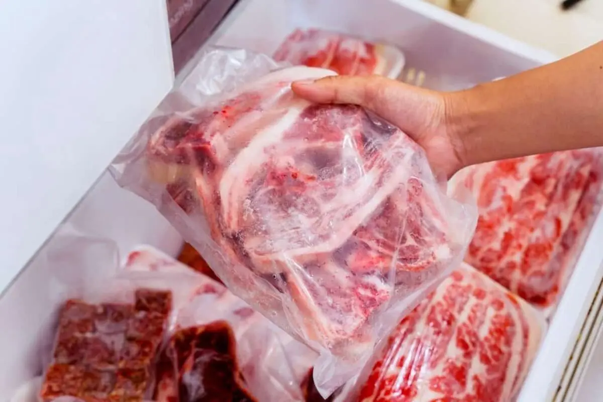 اصول فریز کردن مواد غذایی