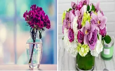 به آسونی عمر گل‌ های داخل گلدان افزایش بده/ راهکارهای طلایی برای ماندگاری بیشتر