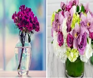 به آسونی عمر گل‌ های داخل گلدان افزایش بده/ راهکارهای طلایی برای ماندگاری بیشتر