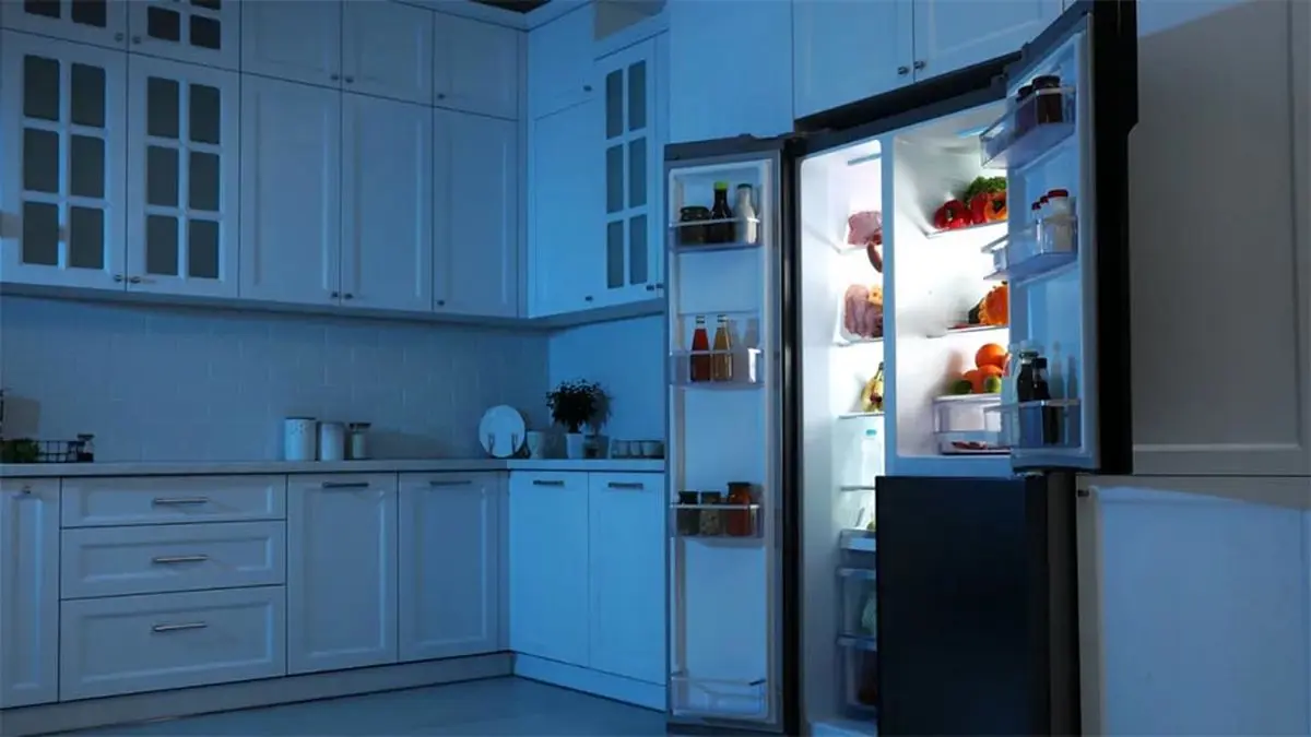 Maintenance-of-refrigerators-3