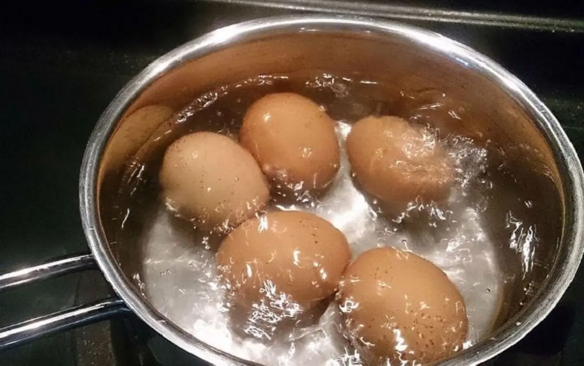 جلوگیری از شکستن تخم مرغ
