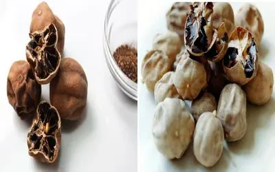 طرز تهیه لیموعمانی در خانه/ با این روش بهتر از بازاریا واسه خورشتت لیمو عمانی درست کن