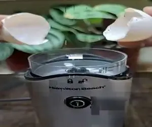 کشاورزی نوین؛ با پوست تخم مرغ چنان عصاره و اکسیر رشد ساخت که گیاهش 2روزه شد درخت گنده