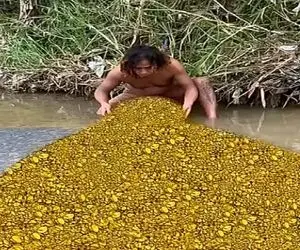 معماری طبیعت؛ مرد از رو بیکاری میره گل و لای رو میگرده چه طلاهایی پیدا میکنه