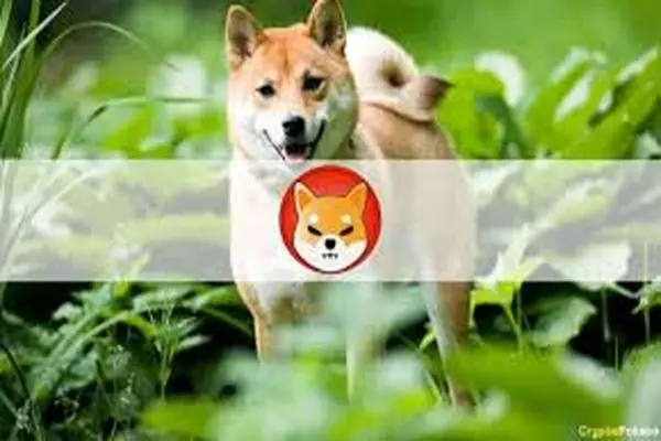 SHIB 