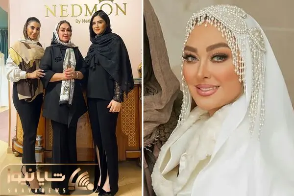 elham hamidi shayanews