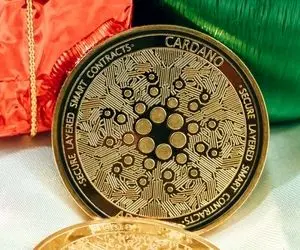 کاردانو صعودش به کدام ارز متصل است؟