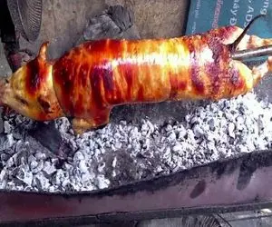 غذای چندش؛ خوک‌ سیاه و به سیخ میکشن کز میدن تا گوشتش بریونی شه اسلایسش میکنن