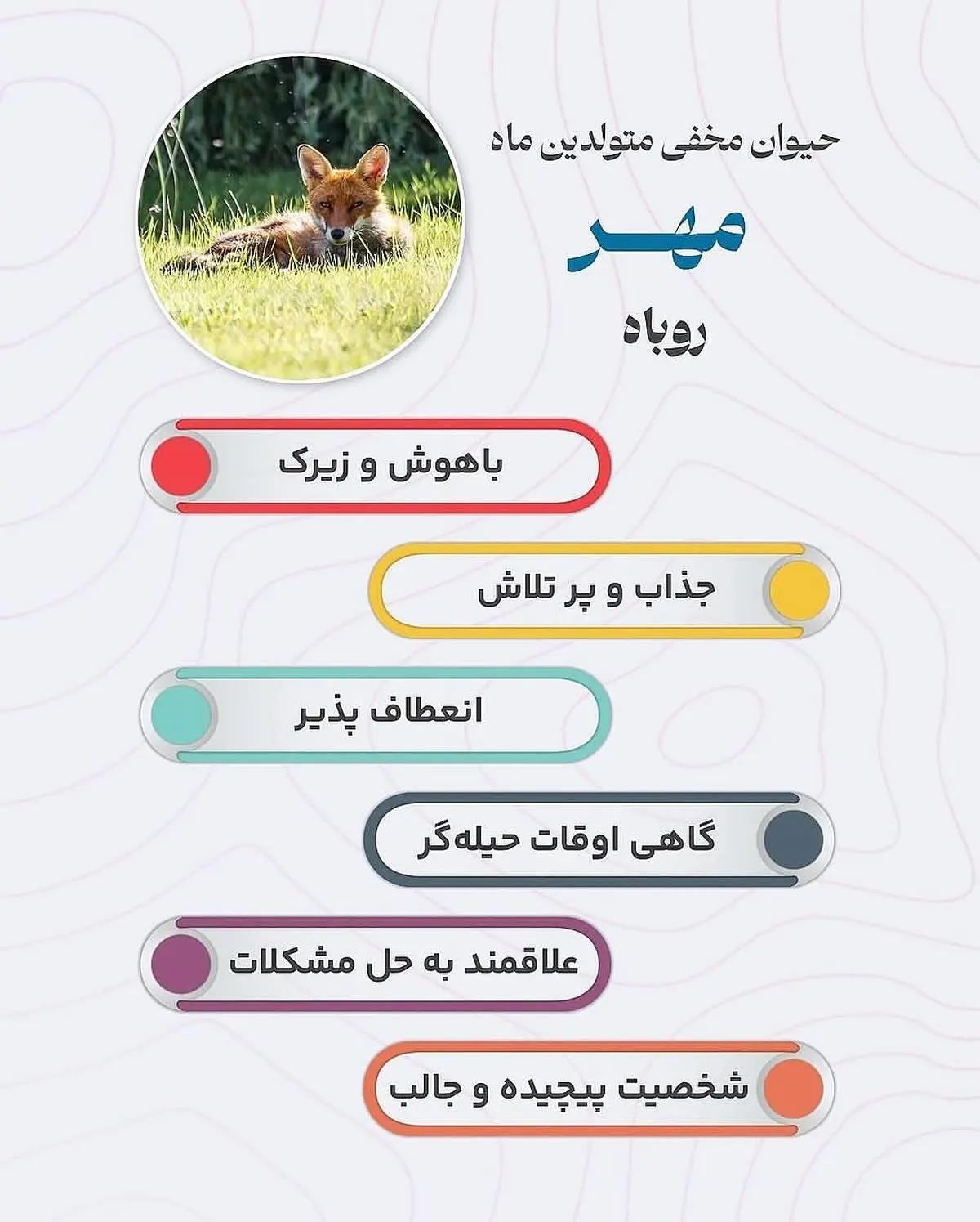 حیوان هر ماه