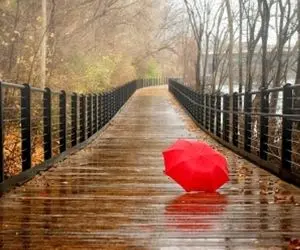 نوای آرامش بخش؛ صدای بارون پاییزی صدای تپش قلب آسمونه که عین لالایی مامانا میمونه