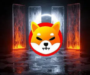 شیبااینو رازی را فاش کرد که کاربران شوکه شدند!