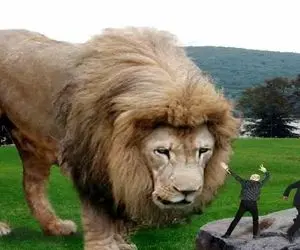 حیوانات غول جثه؛ سلطان جنگل به این میگن لامصب هرکولم گذاشته تو جیبش!
