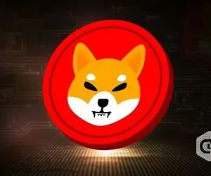 شیبا اینو دوقدمی انفجار؟