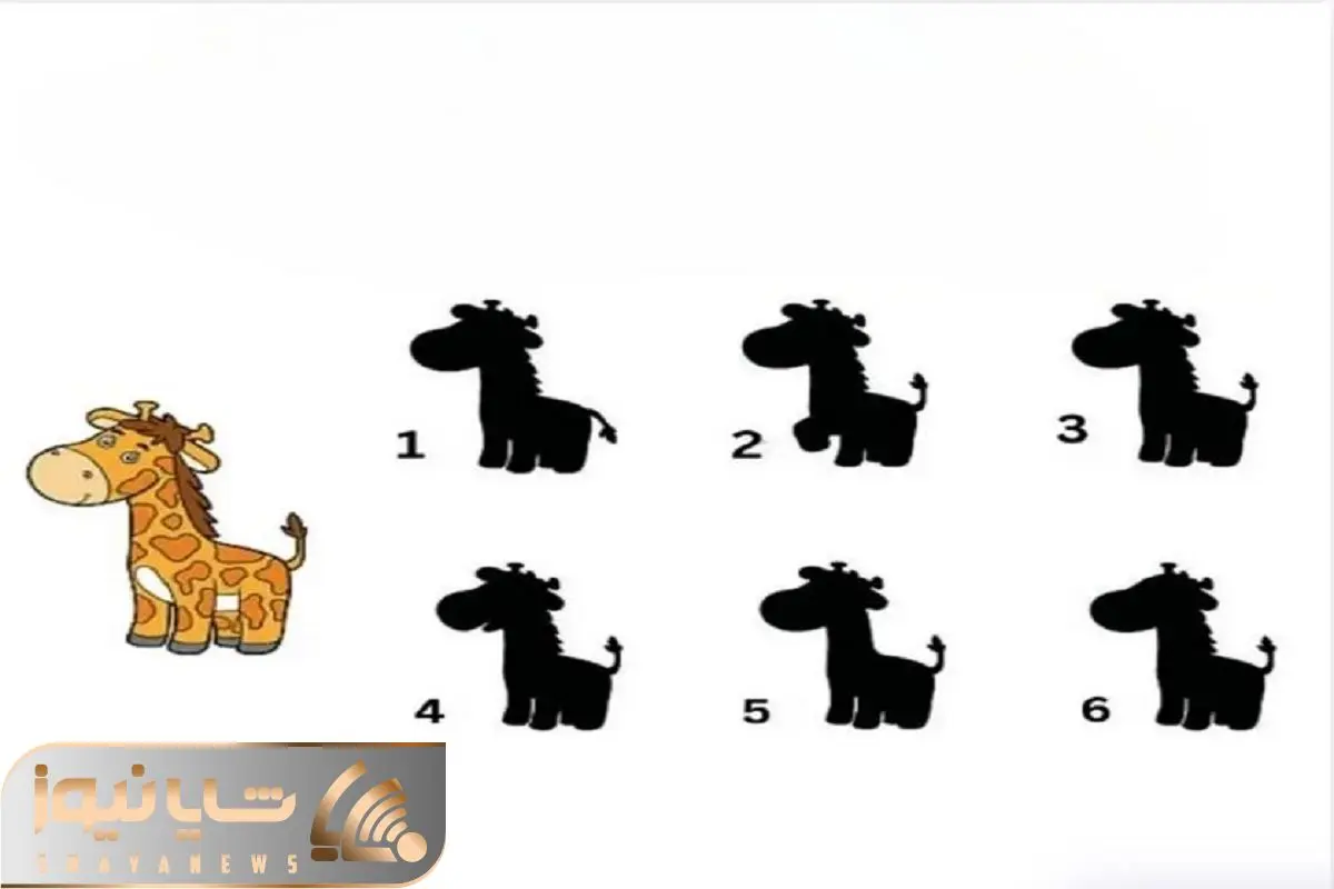 بازی فکری؛ پیدا کردن سایه زرافه شاید تو نگاه اول آسون باشه اما خیلیا نتونستن پیداش کنن بازی فکری؛ پیدا کردن سایه زرافه شاید تو نگاه اول آسون باشه اما خیلیا نتونستن پیداش کنن