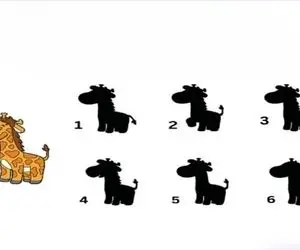 بازی فکری؛ پیدا کردن سایه زرافه شاید تو نگاه اول آسون باشه اما خیلیا نتونستن پیداش کنن