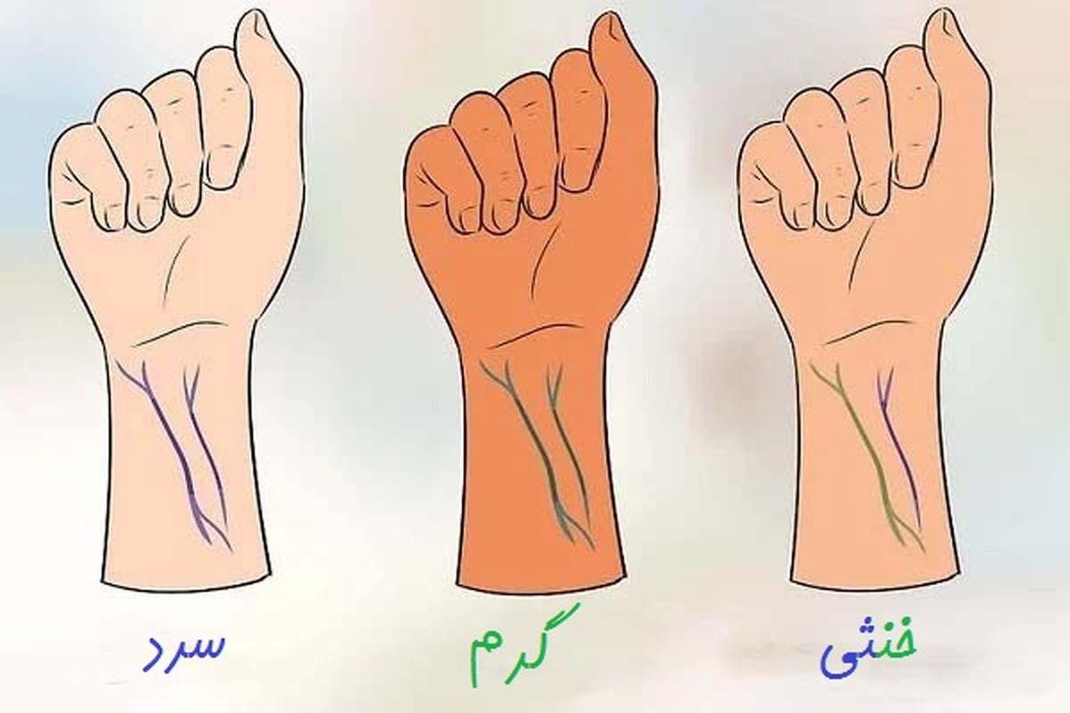 رنگ-رگ_های-دست-برای-تشخیص-تناژ-پوست