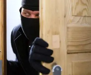 فکر نمیکردم از یه دزد انقد خوشم بیاد | فقط وقتی که دوربین رو میبینه!