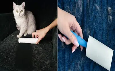 موی پت روی لباس کلافت کرده؟ / ترفند برای لباس بدون مو بعد از بازی با دوست پشمالوت