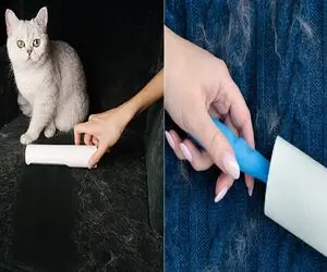موی پت روی لباس کلافت کرده؟ / ترفند برای لباس بدون مو بعد از بازی با دوست پشمالوت