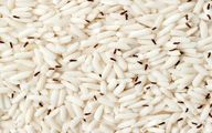 ترفندای خونگی واسه دفع شپشک برنج؛ با این کارا حشرات برنجو از بودنشون پشیمون کن!