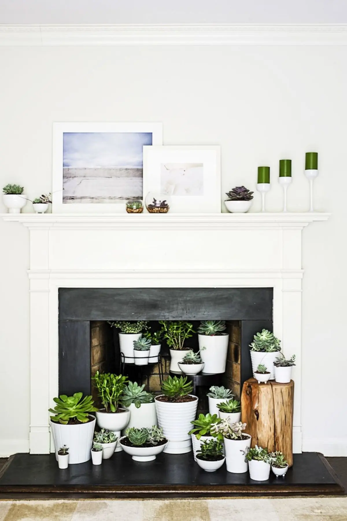 plants-fireplace