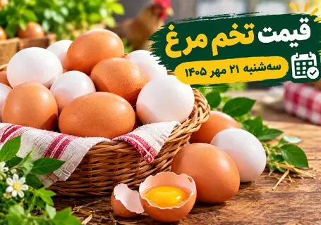  قیمت تخم مرغ امروز سه شنبه 21 مهر 1405 / کدام شانه ها گران شدند؟