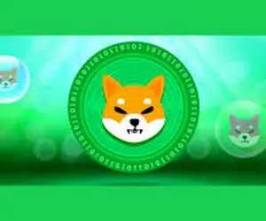 شیبااینو کاربران خودرا به چالش کشید!