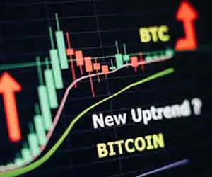 گزارشی مهم از بازار رمزارزها!