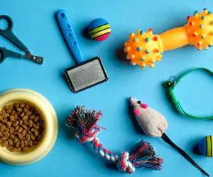 پت شاپ آنلاین لیما با بیش از صدها نوع لوازم جانبی برای سگ و گربه