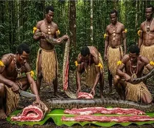 ساخت و ساز مصنوعی؛ مردم قبیله پیتون غول که مردمو خورده بود ملعبه کردن