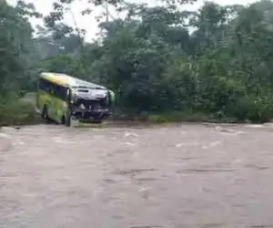 طبیعت وحشی؛ راننده اتوبوس عهد بسته خودشو به کشتن بده