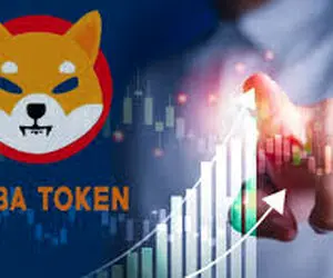 آیا شیبا اینو زیر ارزش واقعی معامله می‌شود؟