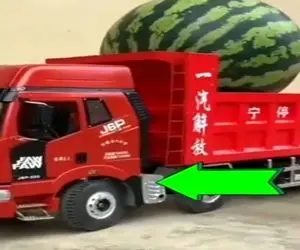 کشاورزی نوین؛ هندانه پرورش دادن برا جابجاییش تریلی آوردن کف ماشین خوابید از وزنش