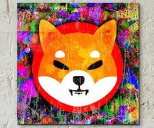 تحولی عظیم برای شیبااینو درراه است؟!